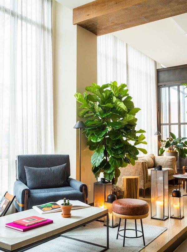 The Blake Hotel